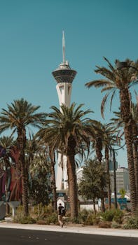 Jellybeancasino Cara Bermain Mudah