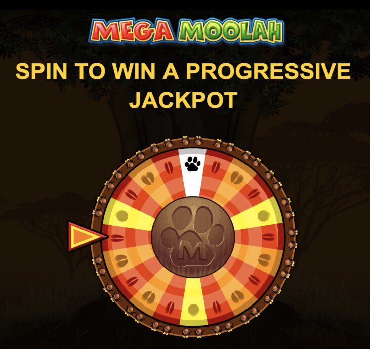 Jellybeancasino Live Dealer Pengalaman Nyata